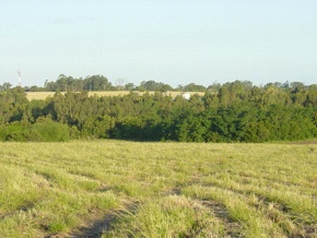 Farm for sale in Colonia Suiza, Uruguay