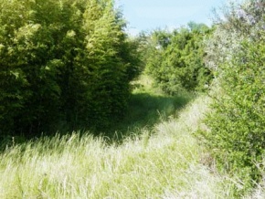 Farm for sale in Colonia Suiza, Uruguay