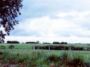 Farm for sale in Colonia Suiza, Uruguay