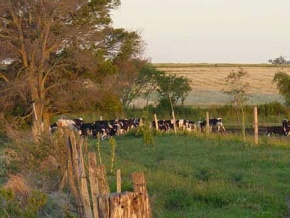 Farm for sale in Colonia Suiza, Uruguay