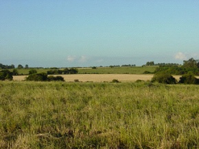 Farm for sale in Colonia Suiza, Uruguay