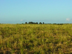 Farm for sale in Colonia Suiza, Uruguay