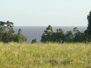 Farm for sale in Colonia Suiza, Uruguay