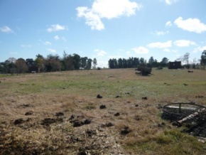 Farm for sale in Colonia, Uruguay