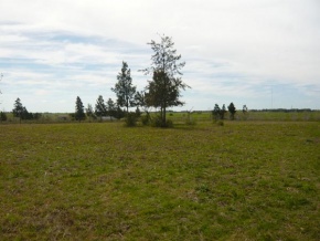 Chacra en venta en Colonia, Uruguay