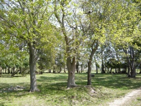 Chacra en venta en Colonia, Uruguay