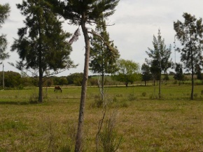 Chacra en venta en Colonia, Uruguay