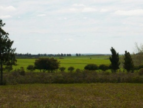 Chacra en venta en Colonia, Uruguay