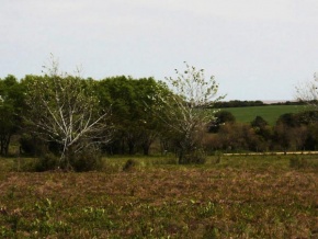 Chacra en venta en Colonia, Uruguay