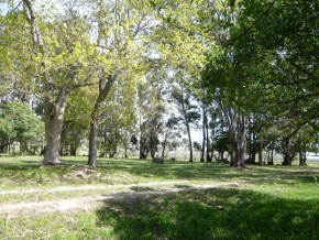 Chacra en venta en Colonia, Uruguay