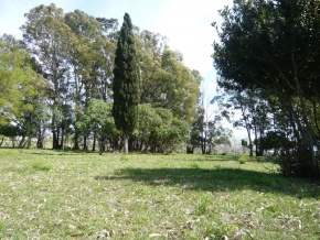Chacra en venta en Colonia, Uruguay