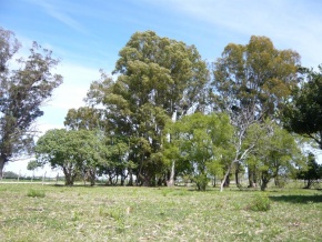 Chacra en venta en Colonia, Uruguay