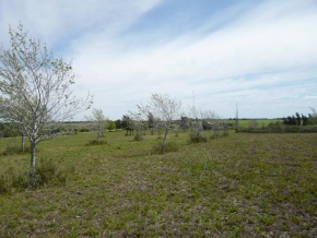 Chacra en venta en Colonia, Uruguay