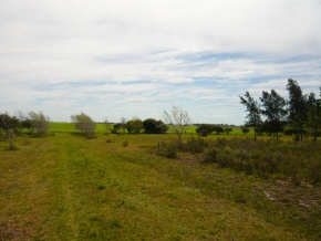 Chacra en venta en Colonia, Uruguay