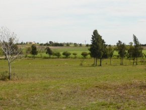 Chacra en venta en Colonia, Uruguay