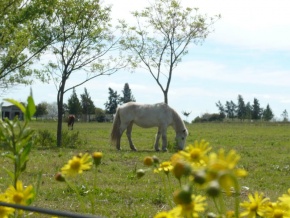 Chacra en venta en Colonia, Uruguay