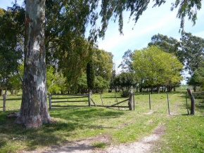 Farm for sale in Colonia, Uruguay