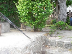 House for season rent in the historic place in Colonia, Uruguay
