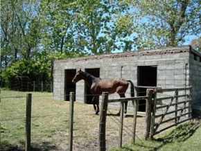 Chacra en venta en Colonia, Uruguay