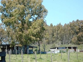 Chacra en venta en Colonia, Uruguay