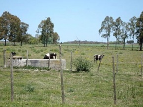 Chacra en venta en Colonia, Uruguay