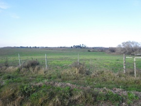 Chacra en venta en Colonia, Uruguay