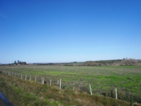 Chacra en venta en Colonia, Uruguay