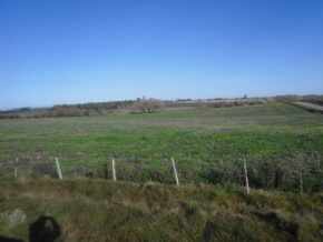 Chacra en venta en Colonia, Uruguay