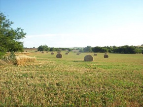 Campo agricola ganadero en venta Colonia, Uruguay