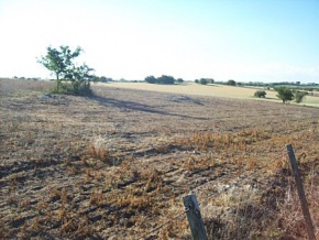 Campo agricola ganadero en venta Colonia, Uruguay