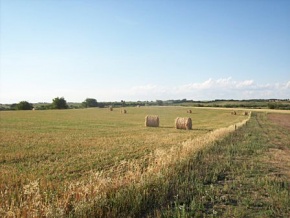 Campo agricola ganadero en venta Colonia, Uruguay