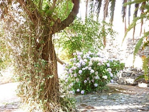 Casa en alquiler por temporada en el Barrio Historico de Colonia del Sacramento	