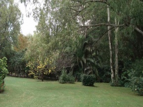 House for season rent in Colonia, Uruguay