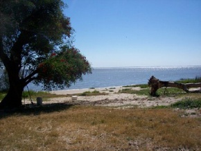 Campo en venta en Uruguay, Campo agricola con costa de rio, Colonia