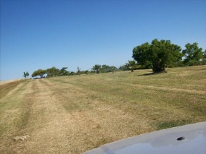 Campo en venta en Uruguay, Campo agricola con costa de rio, Colonia