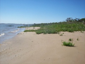 Campo en venta en Uruguay, Campo agricola con costa de rio, Colonia