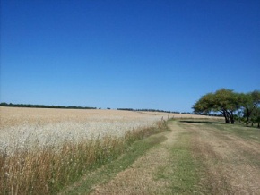 Campo en venta en Uruguay, Campo agricola con costa de rio, Colonia