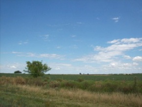 Campo en venta en Uruguay, Campo agricola ganadero en Colonia