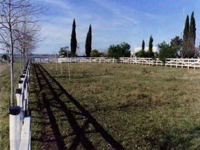 Campo en venta en Uruguay, Campo agricola ganadero en Colonia