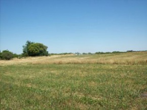 Campo en venta en Uruguay, Campo agricola ganadero turistico, Colonia