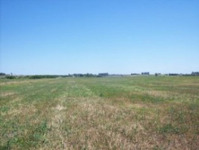 Campo en venta en Uruguay, Campo agricola ganadero turistico, Colonia