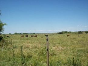 Campo en venta en Uruguay, Campo agricola ganadero turistico, Colonia