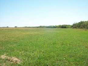 Campo en venta en Uruguay, Campo agricola ganadero turistico, Colonia