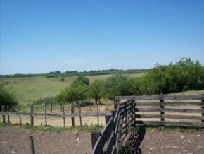 Campo en venta en Uruguay, Campo agricola ganadero turistico, Colonia