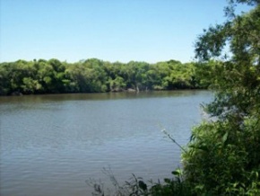 Campo en venta en Uruguay, Campo agricola ganadero turistico, Colonia