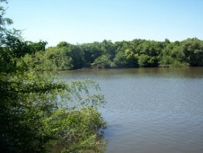 Campo en venta en Uruguay, Campo agricola ganadero turistico, Colonia
