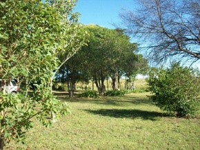 Campo en venta en Uruguay, Campo agricola ganadero, Colonia