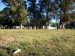 Campo en venta en Uruguay, Campo agricola ganadero, Colonia