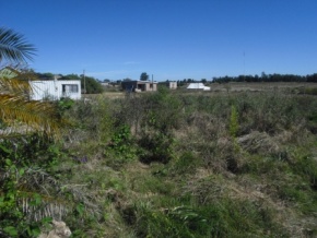 Terreno en venta en Colonia del Sacramento, Uruguay