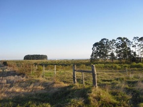 Chacra en venta en Colonia, Uruguay